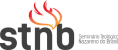 LogoSTNB